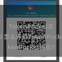 TokenPocket支持BUSD 怎么评价TokenPocket钱包？